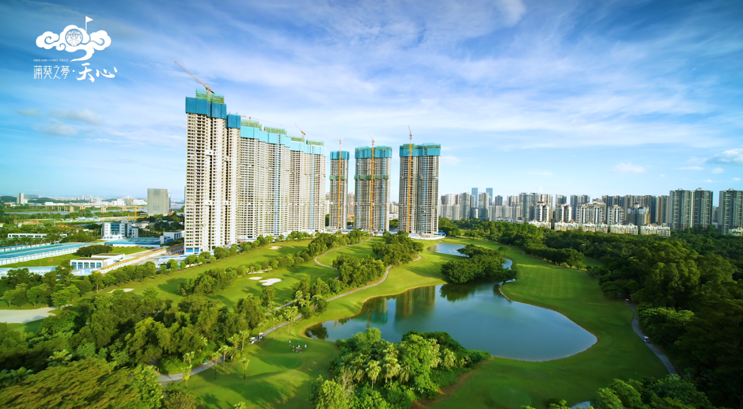 江门蒲葵之梦天心轩